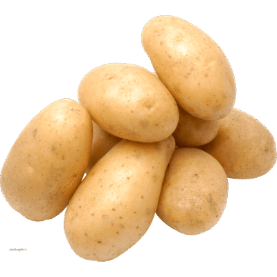 Potato